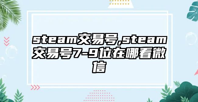 steam交易號(hào),steam交易號(hào)7-9位在哪看微信