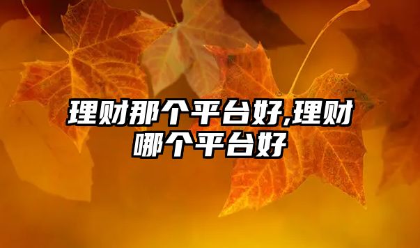 理財(cái)那個(gè)平臺(tái)好,理財(cái)哪個(gè)平臺(tái)好