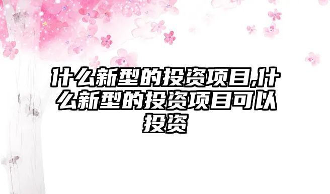 什么新型的投資項(xiàng)目,什么新型的投資項(xiàng)目可以投資