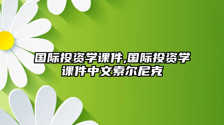 國際投資學(xué)課件,國際投資學(xué)課件中文索爾尼克