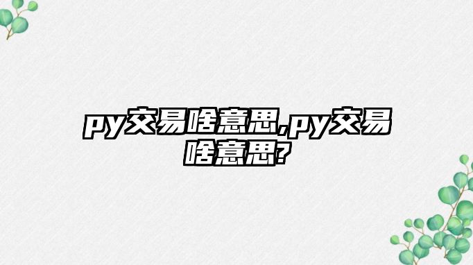 py交易啥意思,py交易啥意思?