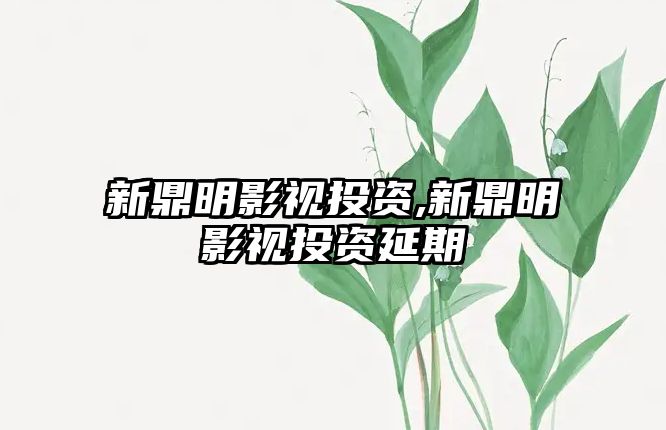 新鼎明影視投資,新鼎明影視投資延期