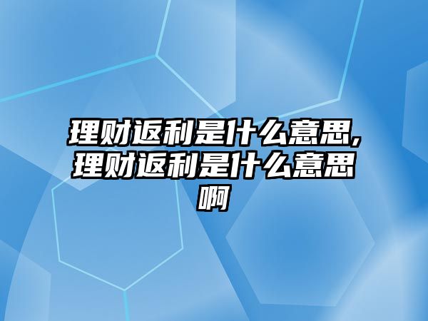 理財(cái)返利是什么意思,理財(cái)返利是什么意思啊