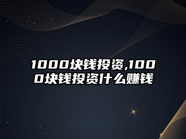 1000塊錢投資,1000塊錢投資什么賺錢