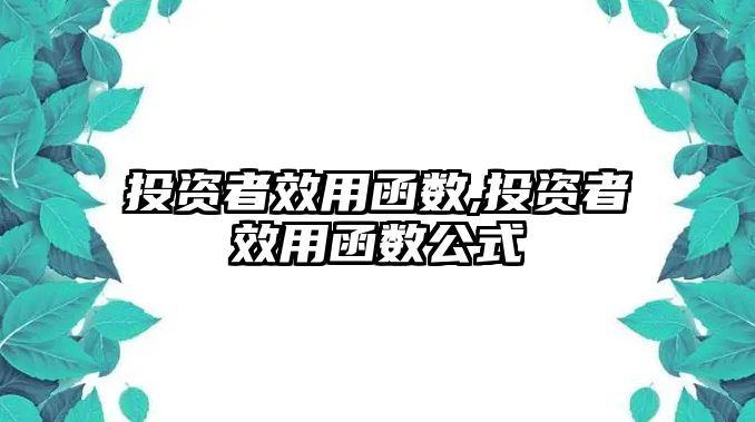 投資者效用函數(shù),投資者效用函數(shù)公式