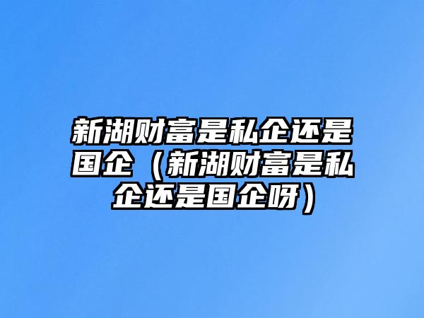 新湖財富是私企還是國企（新湖財富是私企還是國企呀）