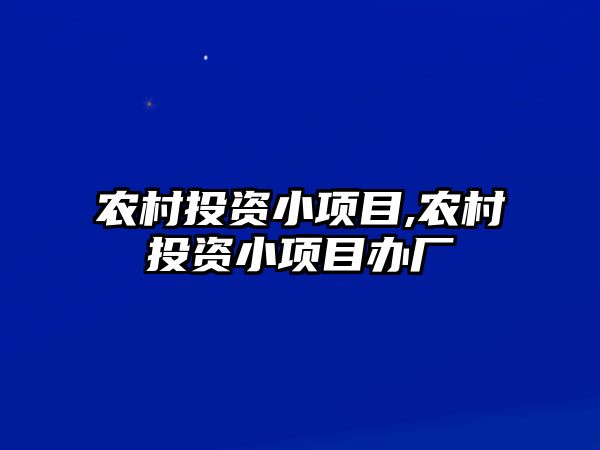 農(nóng)村投資小項目,農(nóng)村投資小項目辦廠