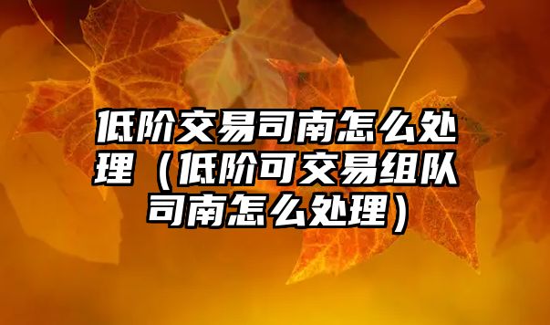 低階交易司南怎么處理（低階可交易組隊(duì)司南怎么處理）