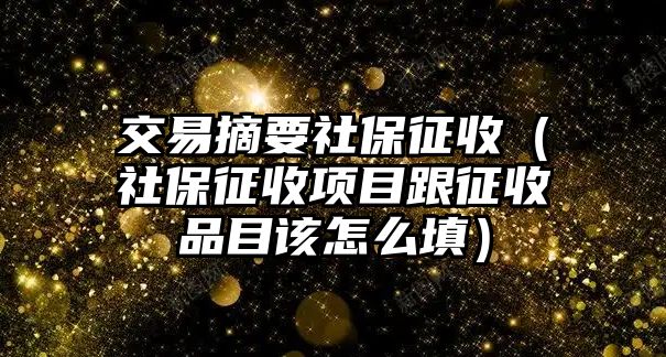 交易摘要社保征收（社保征收項目跟征收品目該怎么填）