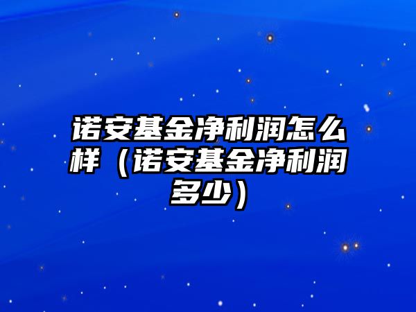 諾安基金凈利潤(rùn)怎么樣（諾安基金凈利潤(rùn)多少）