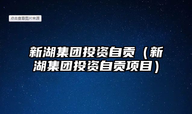 新湖集團(tuán)投資自貢（新湖集團(tuán)投資自貢項(xiàng)目）