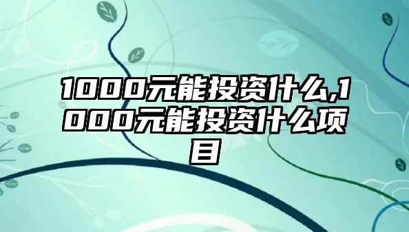 1000元能投資什么,1000元能投資什么項(xiàng)目