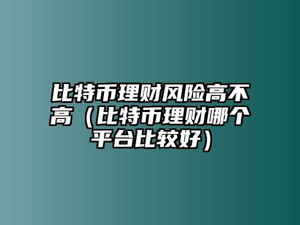 比特幣理財(cái)風(fēng)險(xiǎn)高不高（比特幣理財(cái)哪個(gè)平臺(tái)比較好）