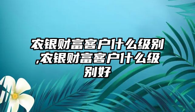 農(nóng)銀財富客戶什么級別,農(nóng)銀財富客戶什么級別好