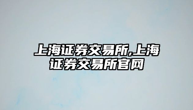 上海證券交易所,上海證券交易所官網(wǎng)