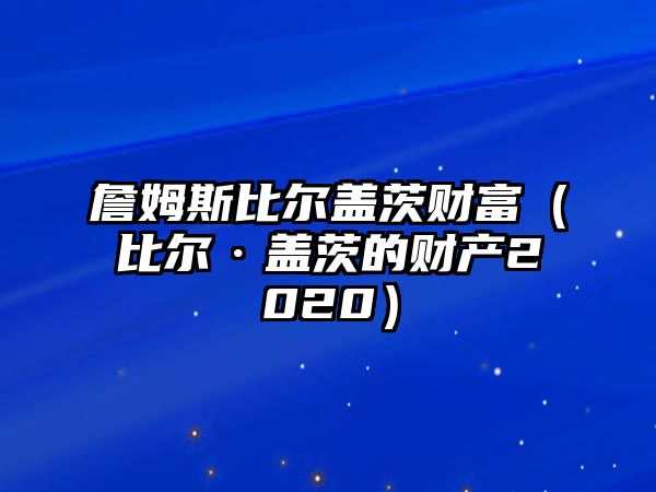 詹姆斯比爾蓋茨財富（比爾·蓋茨的財產(chǎn)2020）