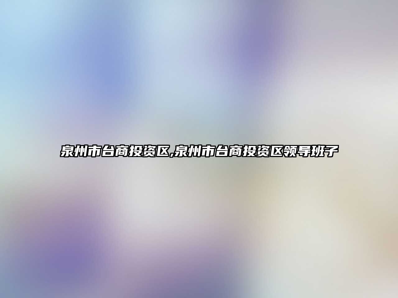 泉州市臺商投資區(qū),泉州市臺商投資區(qū)領(lǐng)導(dǎo)班子