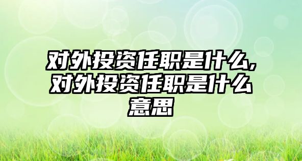 對外投資任職是什么,對外投資任職是什么意思