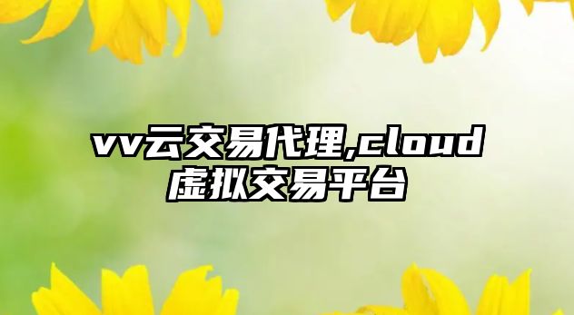 vv云交易代理,cloud虛擬交易平臺(tái)