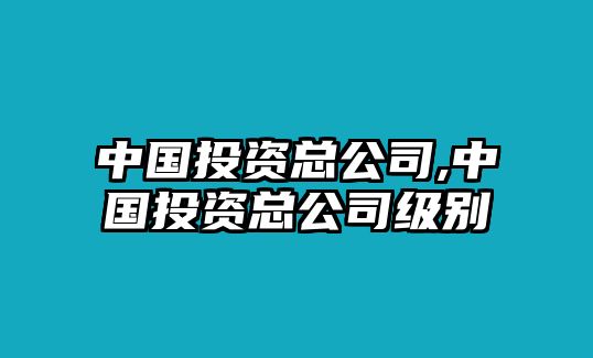 中國(guó)投資總公司,中國(guó)投資總公司級(jí)別