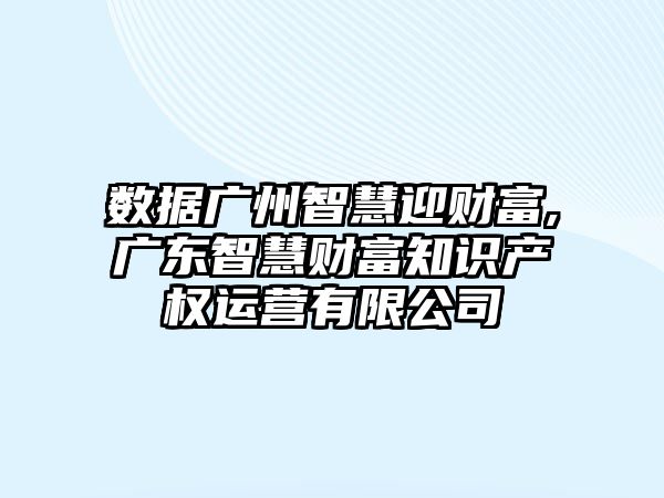 數(shù)據(jù)廣州智慧迎財富,廣東智慧財富知識產(chǎn)權運營有限公司