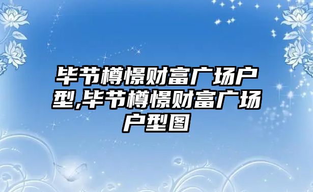 畢節(jié)樽憬財富廣場戶型,畢節(jié)樽憬財富廣場戶型圖