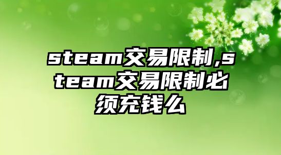 steam交易限制,steam交易限制必須充錢么