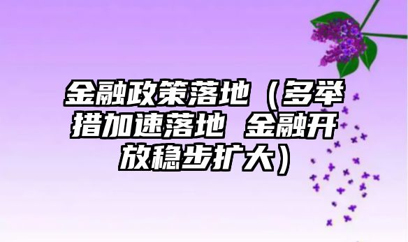 金融政策落地（多舉措加速落地 金融開放穩(wěn)步擴(kuò)大）