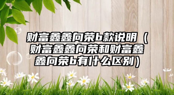 財富鑫鑫向榮b款說明（財富鑫鑫向榮和財富鑫鑫向榮b有什么區(qū)別）