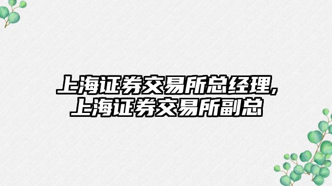 上海證券交易所總經(jīng)理,上海證券交易所副總