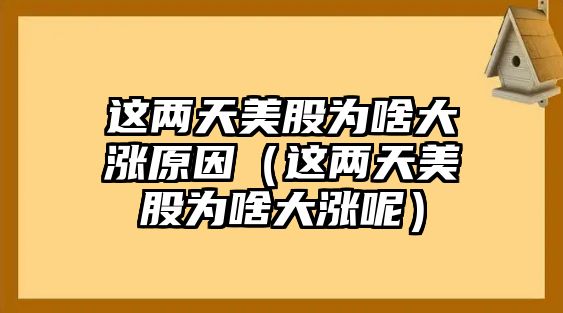 這兩天美股為啥大漲原因（這兩天美股為啥大漲呢）