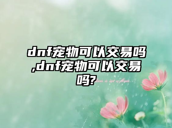 dnf寵物可以交易嗎,dnf寵物可以交易嗎?