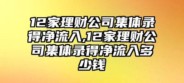 12家理財(cái)公司集體錄得凈流入,12家理財(cái)公司集體錄得凈流入多少錢