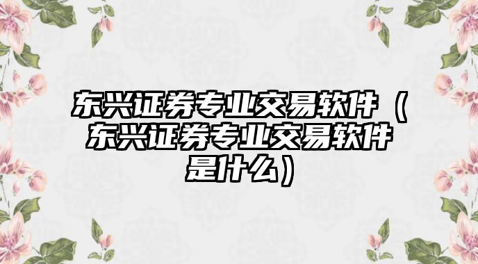 東興證券專業(yè)交易軟件（東興證券專業(yè)交易軟件是什么）