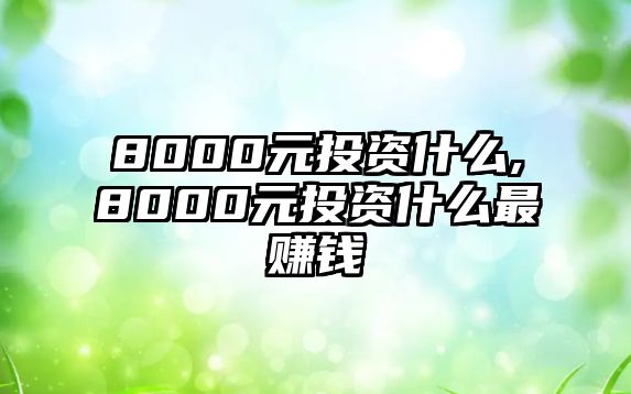 8000元投資什么,8000元投資什么最賺錢