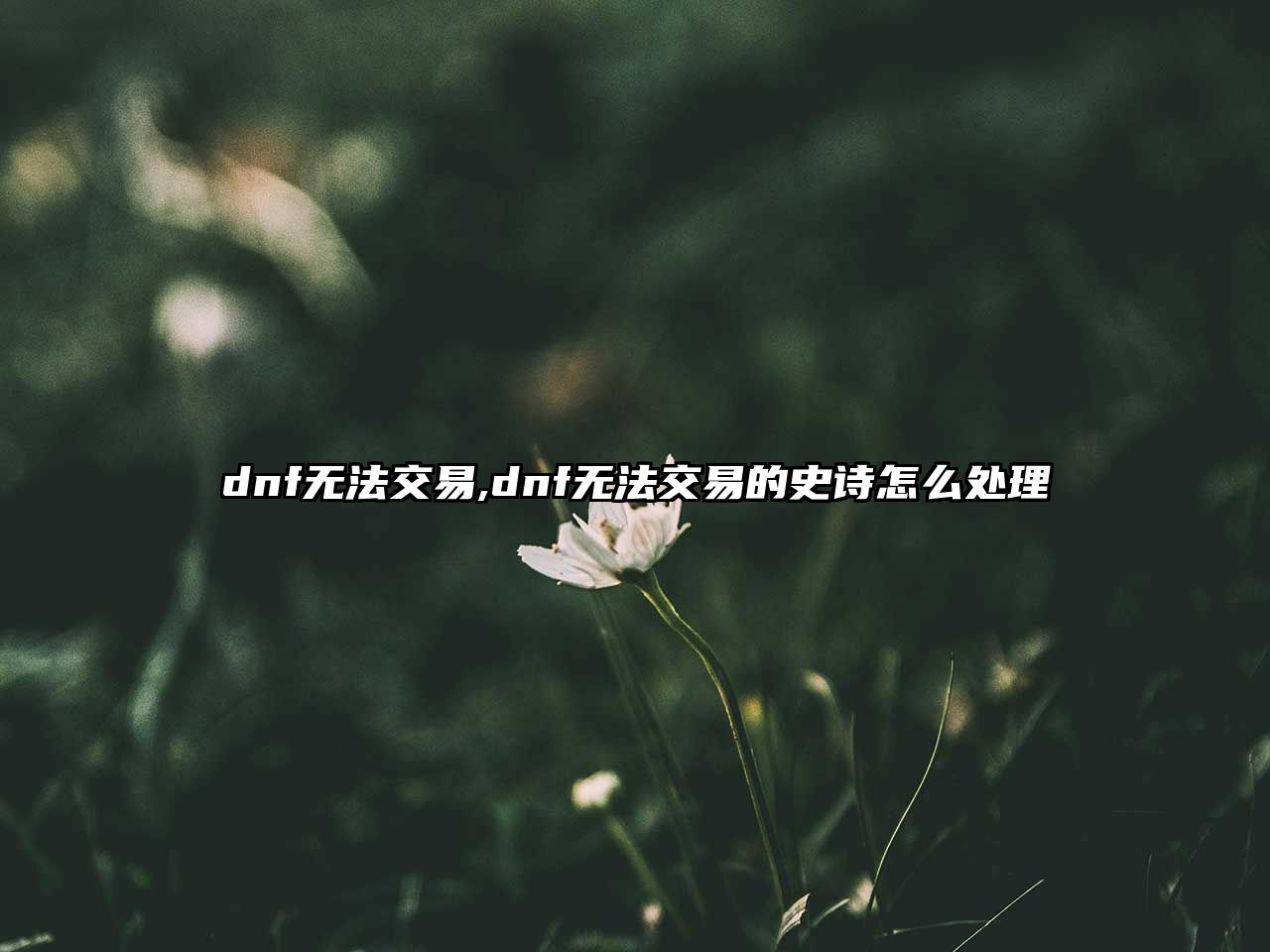 dnf無法交易,dnf無法交易的史詩怎么處理