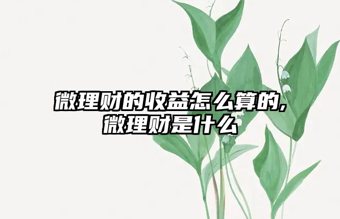 微理財(cái)?shù)氖找嬖趺此愕?微理財(cái)是什么