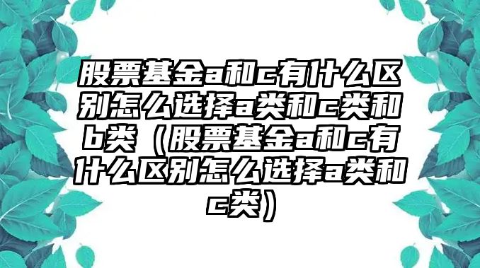 股票基金a和c有什么區(qū)別怎么選擇a類和c類和b類（股票基金a和c有什么區(qū)別怎么選擇a類和c類）