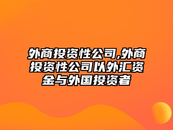 外商投資性公司,外商投資性公司以外匯資金與外國(guó)投資者