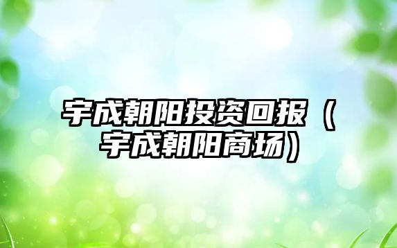 宇成朝陽投資回報（宇成朝陽商場）