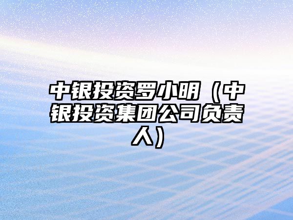 中銀投資羅小明（中銀投資集團(tuán)公司負(fù)責(zé)人）