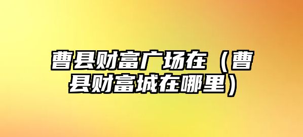 曹縣財富廣場在（曹縣財富城在哪里）