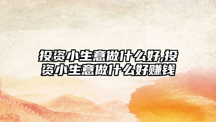 投資小生意做什么好,投資小生意做什么好賺錢