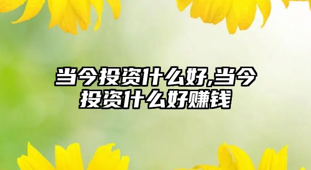 當(dāng)今投資什么好,當(dāng)今投資什么好賺錢