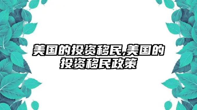 美國的投資移民,美國的投資移民政策