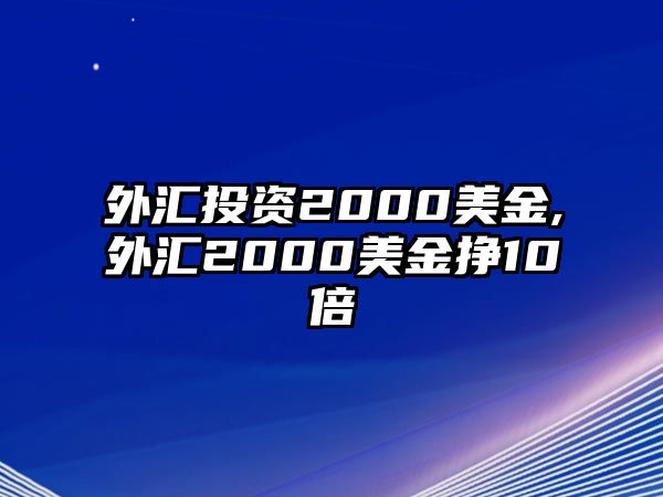 外匯投資2000美金,外匯2000美金掙10倍