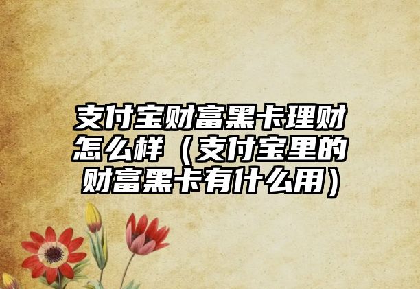 支付寶財富黑卡理財怎么樣（支付寶里的財富黑卡有什么用）