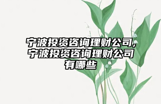 寧波投資咨詢理財公司,寧波投資咨詢理財公司有哪些