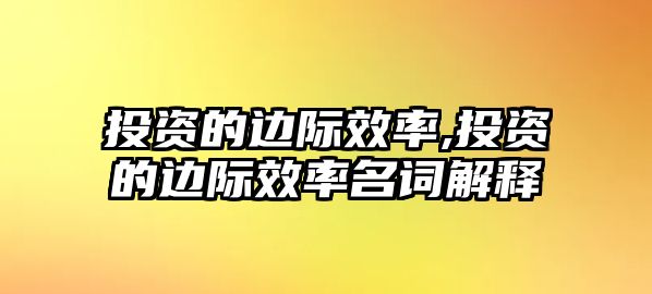 投資的邊際效率,投資的邊際效率名詞解釋