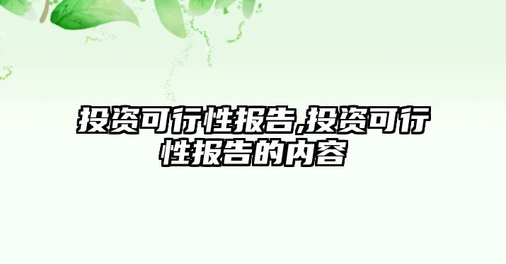 投資可行性報告,投資可行性報告的內容